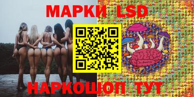 PSILOCYBIN Шахты