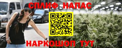 стафф Шебекино