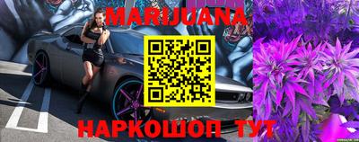 стафф Шебекино