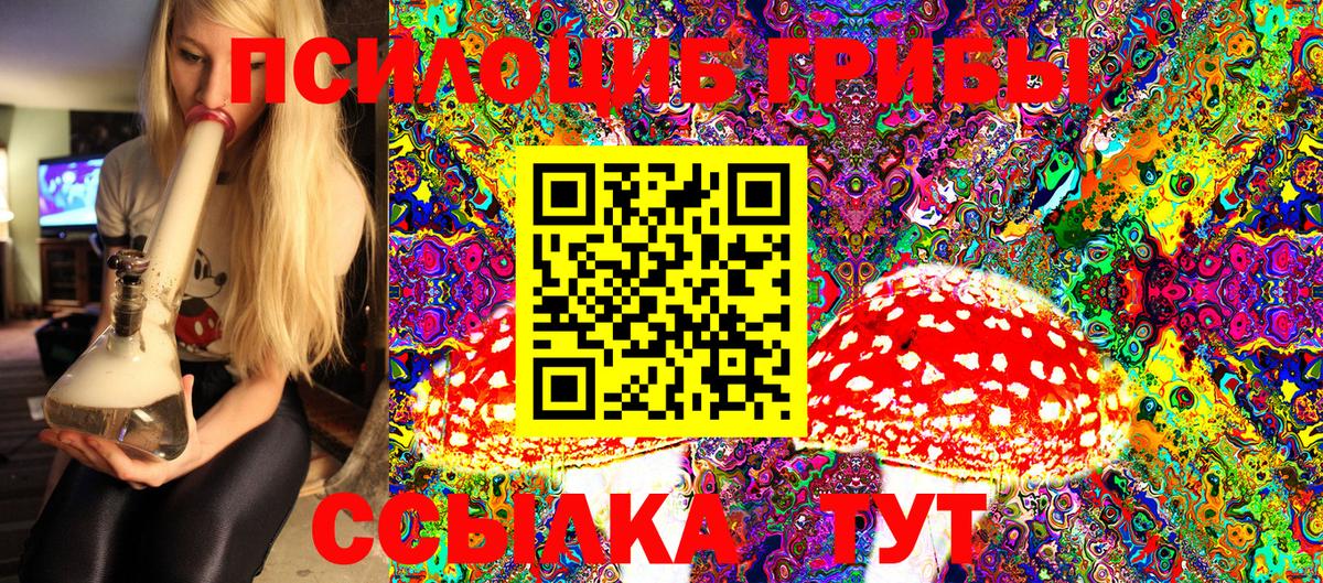 Кинель  Псилоцибиновые грибы Psilocybe  Вход с VPN 