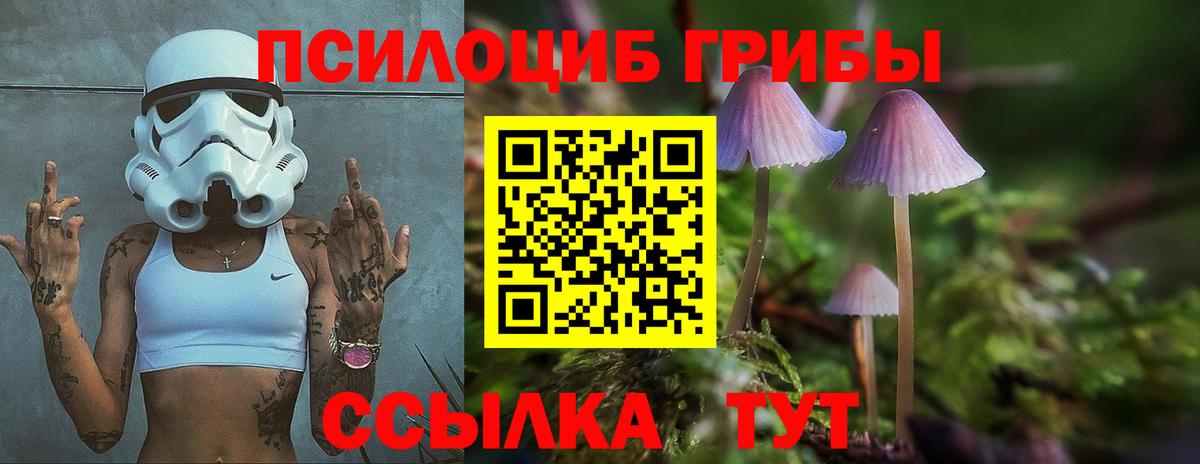 Галлюциногенные грибы мицелий Кинель