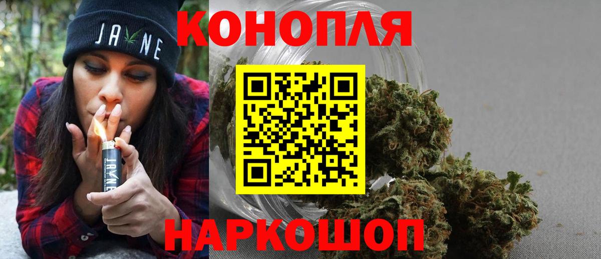 Конопля сатива Кинель